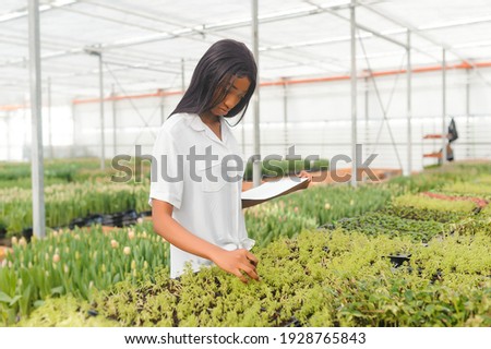 Agriculture management. Smiling african american girl makes photo of flowers plantation in greenhouse, side view, free space
