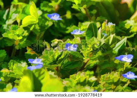 Small, purple and white colored flowers, seem to float above a bed of green leaves, during spring.