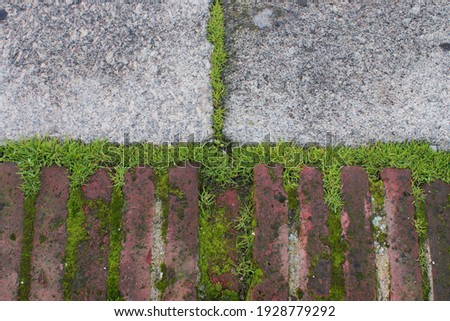 Abstract stone and brick texture with moss, urban ground