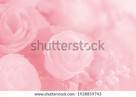 Abstract beautiful pink tone rose flower background for design.