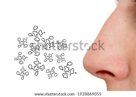 A picture of a nose on a white background With various sizes of dust particles scattered, suitable for use in the field of medical media, environmental media
