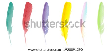Colorful collection feathers  isolated on white background 