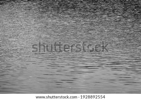 black and white water texture background