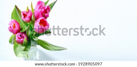 Bouquet of pink tulips in a glass vase on a light background with a place for text. Selective focus 