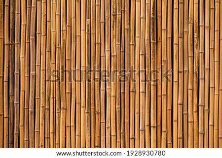 bamboo texture background for interior or exterior design.  Royalty-Free Stock Photo #1928930780