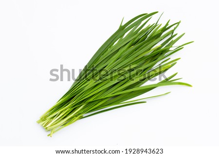 Fresh Chinese Chive leaves on white background. Royalty-Free Stock Photo #1928943623