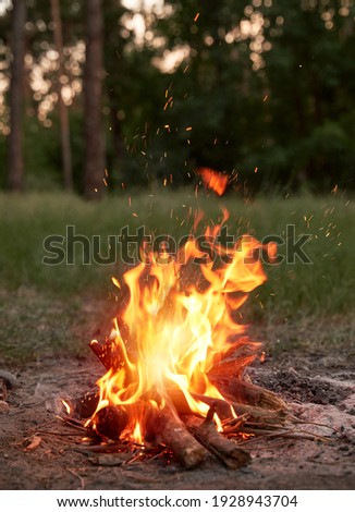 Beautiful campfire in the evening at the forest. Fire burning in dusk at campsite near a river in beautiful nature with evening sky at background Royalty-Free Stock Photo #1928943704