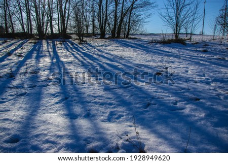 spring snowy sunny day, relief snow with shadows of forest trees. Beautiful texture and background, natural colors