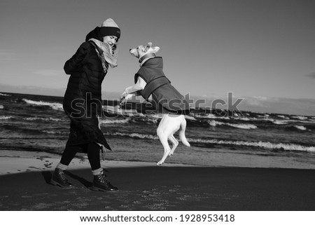 Black and white photography, a girl playing with a dog, a dog jumping for a ball against the background of the sea, spring