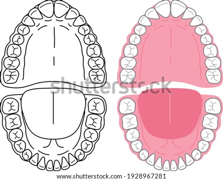 Clip art of oral cavity and teeth