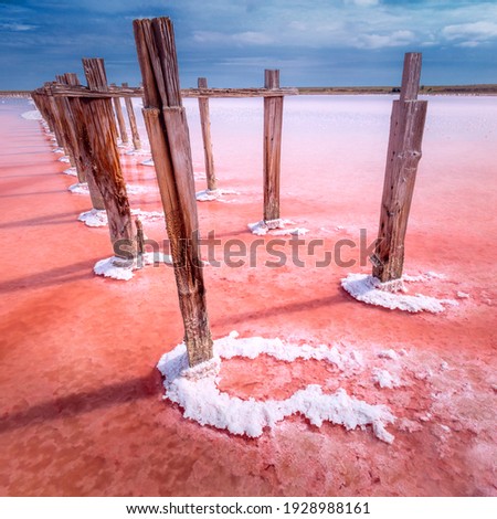 Pink color of salty water lake and deep blue sky, minimalistic natural landscape, Ukraine travel background. Miracle of nature Royalty-Free Stock Photo #1928988161