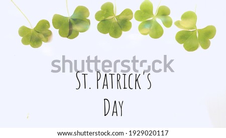 St. Patrick's Day green leaf background
