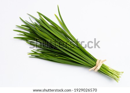 Fresh Chinese Chive leaves on white background. Royalty-Free Stock Photo #1929026570