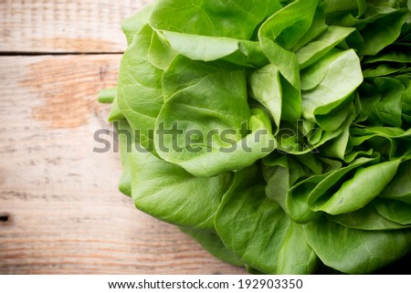 Salad on a wooden background. Studio picture.