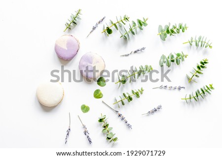 Spring pattern with macaroons and eucalyptus on white background top view
