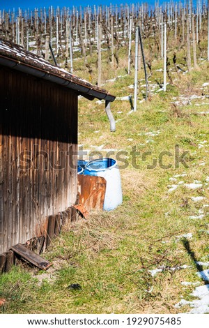 A vertical shot of a small wooden hut and blue plastic barrels located in a vineyard in winter