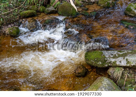 A closeup shot of a water stream surrounded by the mossy rocks