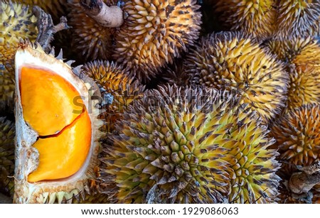 Fresh Durian Fruit from Indonesia