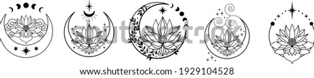 Set of Crescent moons with lotus flower, Flower Moon, Floral magic celestial clipart, Blooming Lotus Moon with Stars, Moon Phases Royalty-Free Stock Photo #1929104528
