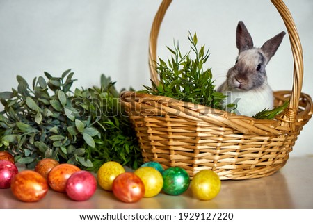 Easter bunny with colored eggs and a basket. Festive hare with grass on a white background. High quality photo