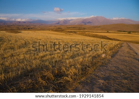 Field And Road In The Valley At Sunset With The Mountains On The Background