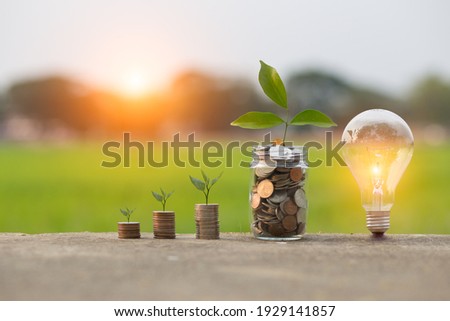 Light bulb Energy saving and a coin glass on the floor nature background