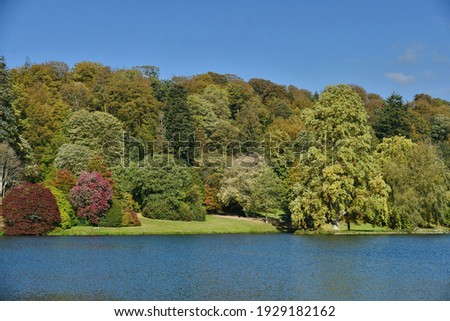 Scenic View of Trees on a Lake