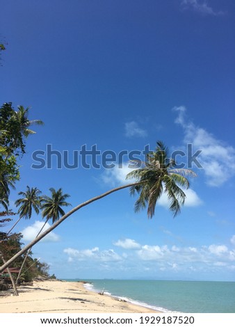 Coconut trees and sea atmosphere, Southern Thailand.