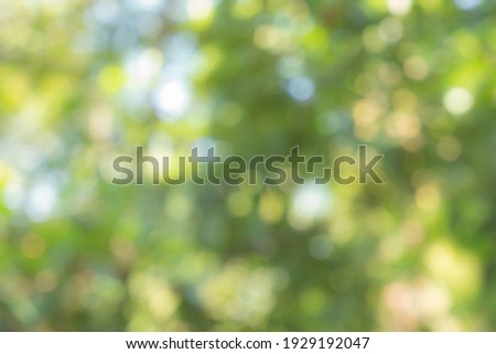Nature background images abstract blur and bokeh for design.

