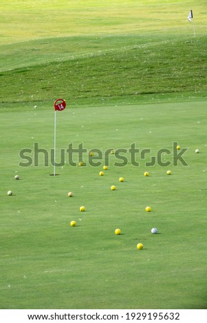 Many yellow balls on the golf course. Players warming up