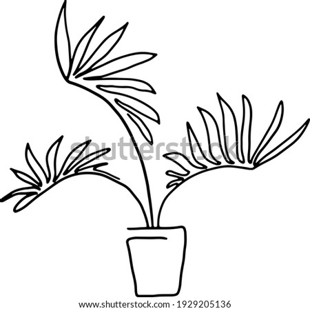 Linear image of isolated houseplant on transparent background