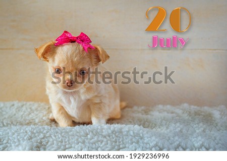 Children's calendar with a funny puppy July 20