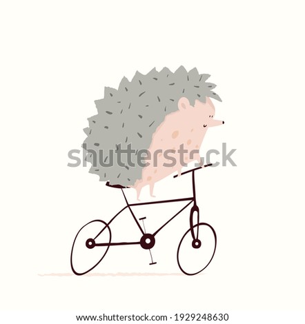 Hedgehog or porcupine riding bicycle design for kids, nursery design, cycling or racing symbol. Funny and cute animal print for textile, t shirt or cards for children. Hand drawn cartoon.