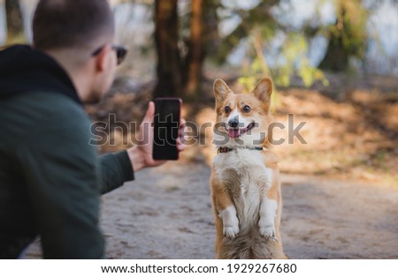 youg man taking a photo of his welsh corgi pembroke dog doing a trick