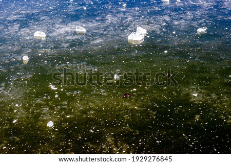Small pieces of ice on the surface of frozen ice water with a combination of green and blue colors in a pond on a winter day. Frozen water texture
