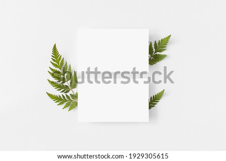 Paper rectangle frame mockup above fern green leaves, grass flat lay on white background top view. Minimalism composition in neutral tones. Empty blank template with copy space. Ecology, forest