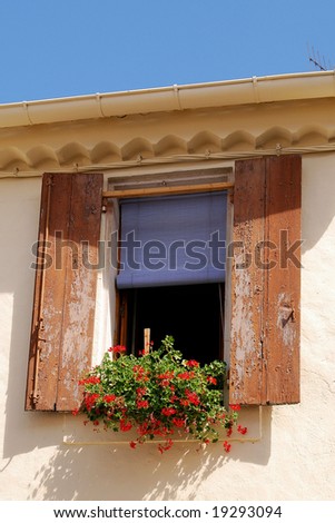 Window with flowers and with window shadows
