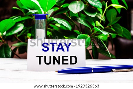 Against the background of green leaves of the plant, there is a pen on the table, an hourglass and a card with the inscription STAY TUNED