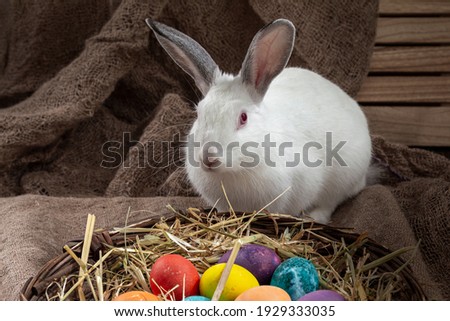 Easter bunny sitting near a wicker basket with multi-colored eggs on a burlap background
