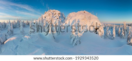 Panoramic landscape of Jizera Mountains, view from peak Izera with frosty spruce forest, trees and hills. Winter time near ski resort, blue sky background. Liberec, Czech Republic, Northern Bohemia