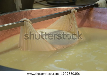 production of Grana Padano cheese Royalty-Free Stock Photo #1929360356