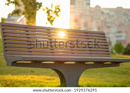 Wooden bench in a public park in the rays of the setting sun