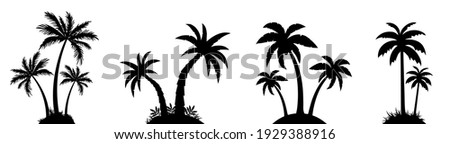 Tropical Palm Trees silhouettes collection . Vacation and travel concept. Vector isolated on white