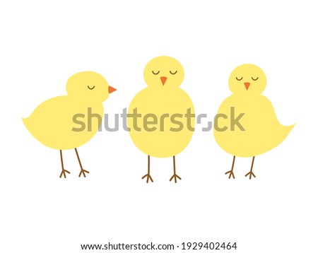 Vector chicken set. Cute Easter baby chickens on white background. Greeting card, stickers, textile, invitation, home decor.