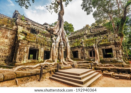 Classical picture of Ta Prohm Temple, Angkor, Cambodia  Royalty-Free Stock Photo #192940364