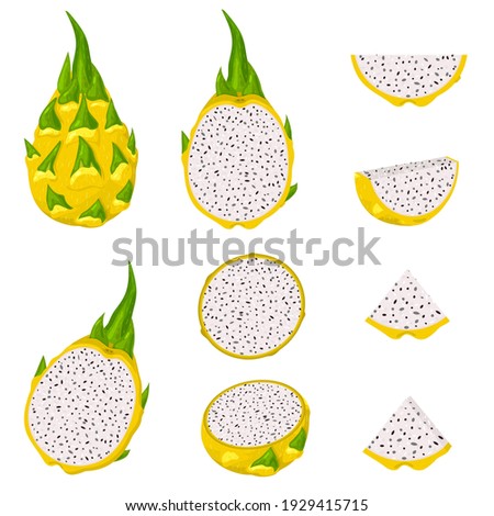 Set of fresh whole, half, cut slice yellow pitaya fruits isolated on white background. Summer fruits for healthy lifestyle. Cartoon style. Vector illustration for any design