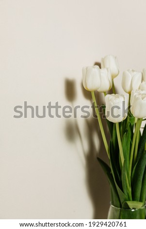 Bouquet of white fresh tulips, beautiful spring flowers, free space, women's holiday on March 8. High quality photo