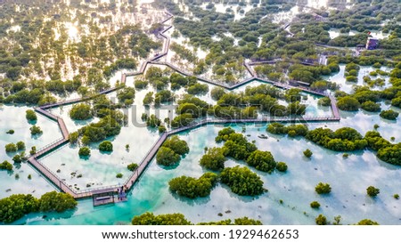 al Jubail Mangrove from high view Royalty-Free Stock Photo #1929462653