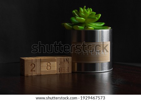 Jan 28st. Image of Jan 28 wooden cube calendar and an artificial plant on a brown wooden table reflection and black background. with empty space for text