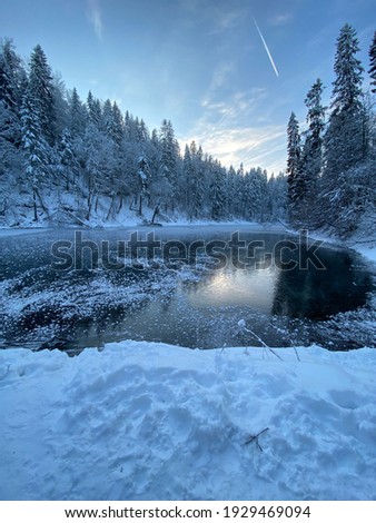 Winter fairy tale, lake in the winter